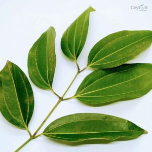Kaneelblad