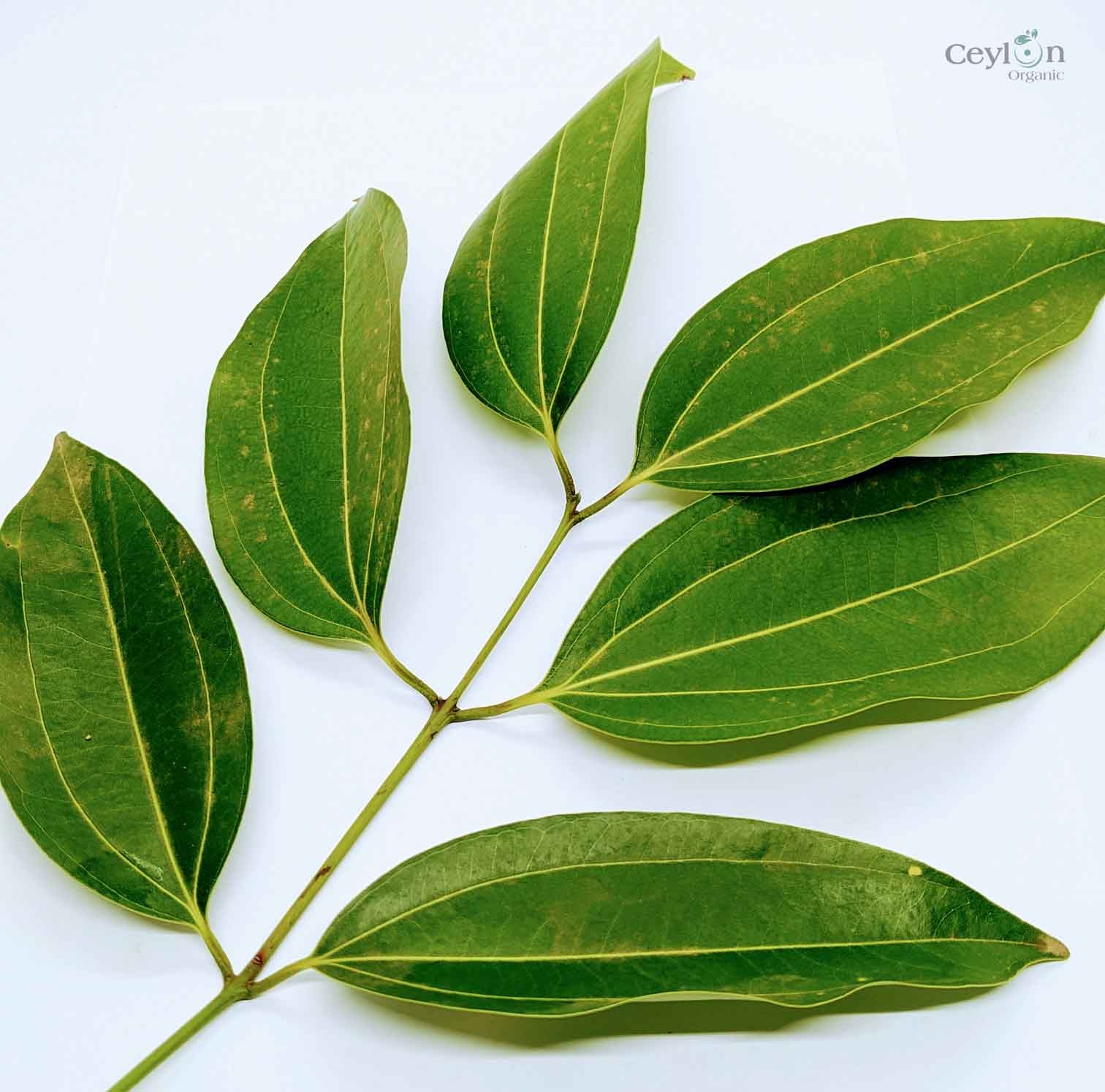 Kaneelblad